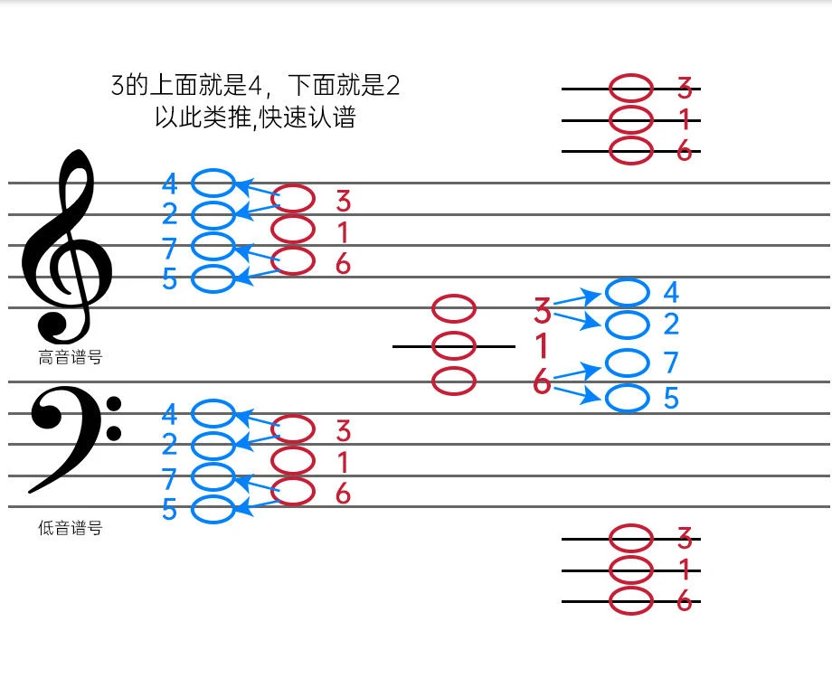 从 A、C、E 锚点向上或向下推算相邻音符